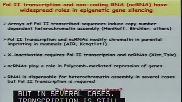 Epigenetic Genome Control by Heterochromatin and RNAi Machinery смотреть онлайн