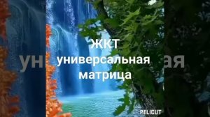 ?ЖКТ универсальная матрица Гаряева