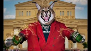 Шлепа Эдит