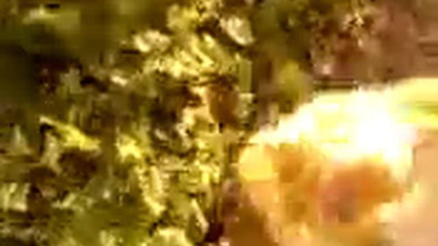 кот поймал крысу