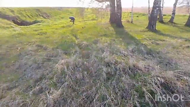 Хабар расщедрился! смотреть онлайн