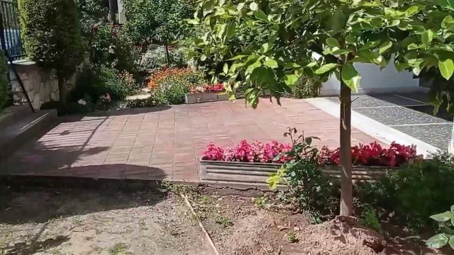 Увидела своими глазами как "образуются небесные облачка"! Хотела снять одно, но получилось другое: смотреть онлайн