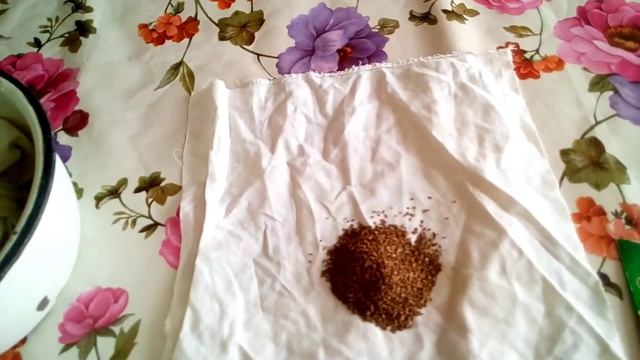 Как правильно посеять морковь и получить всходы на 3 день!!! смотреть онлайн