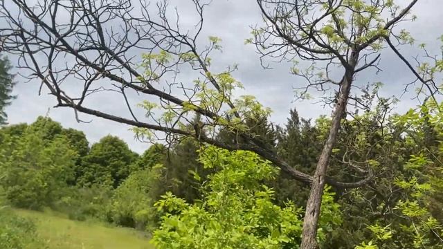 Поступил в университет | Дендропарк им.Докучаева ? смотреть онлайн