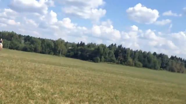Конная прогулка Софрино Пряжа смотреть онлайн