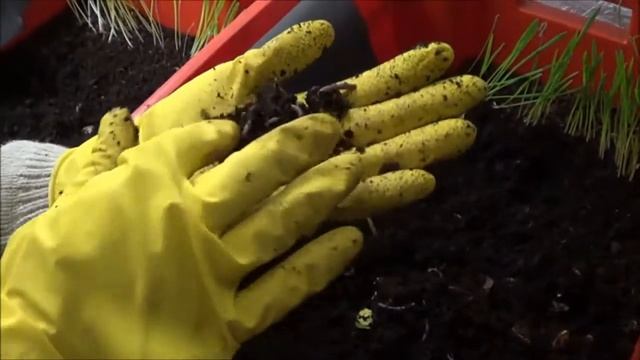 Ангелы Земли 15серия 1 сезон смотреть онлайн