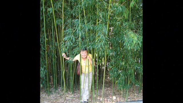 Нью Джерси Парк скульптур.wmv смотреть онлайн