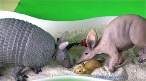 Happy Cute Zoo Animals - Toys for Kids - Puma Bison Yak Gaur Muskox Crocodile