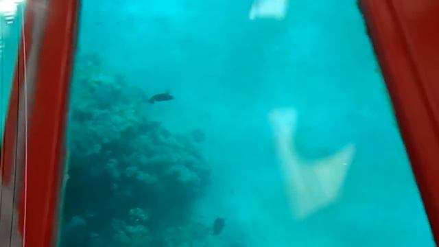 Видео Халид Шарм-эль-Шейх Красное море! очень смотреть онлайн
