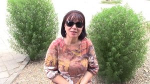 Кохия. Летний кипарис.