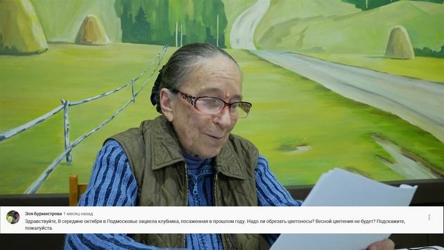 На каких сортах клубники, земляники не будет урожая в следующем году. Советы по уходу за клубникой. смотреть онлайн