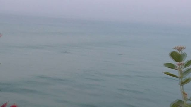 Заплыв на Черный пляж 5 км. Неудачная попытка. Варкала смотреть онлайн