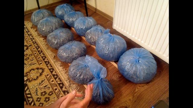 Вешенка Р-80. Субстрат из камыша и дубовой щепы смотреть онлайн