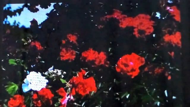 ERA DE MAGGIO - Fortunato De Gregorio смотреть онлайн
