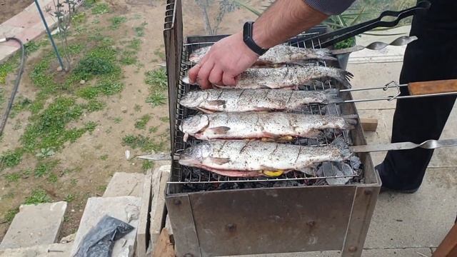 Форель на сетке смотреть онлайн