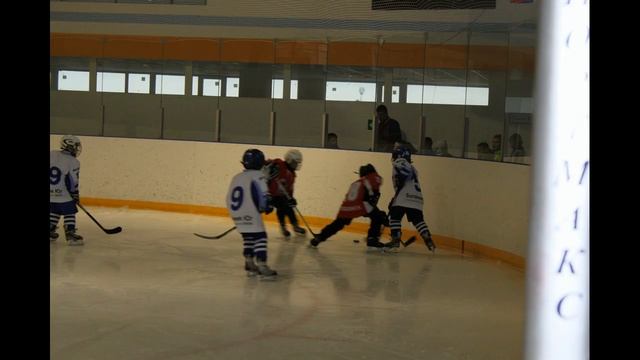 Турнир Волгограде смотреть онлайн