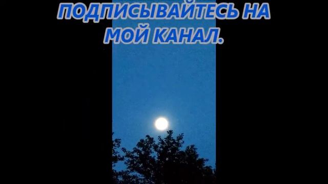 МАЙСКИЙ ВЕЧЕР смотреть онлайн