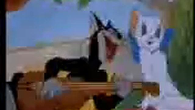 кот поет мугам смотреть онлайн