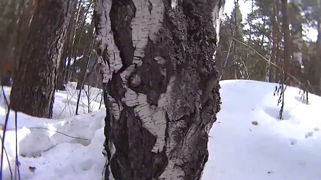 Страйкбол СК "Свора" Каштак 12.03.2017 смотреть онлайн