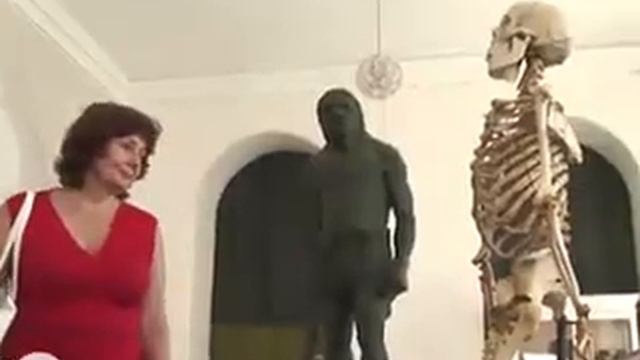 Прикол У скелета Половой оргон встал 