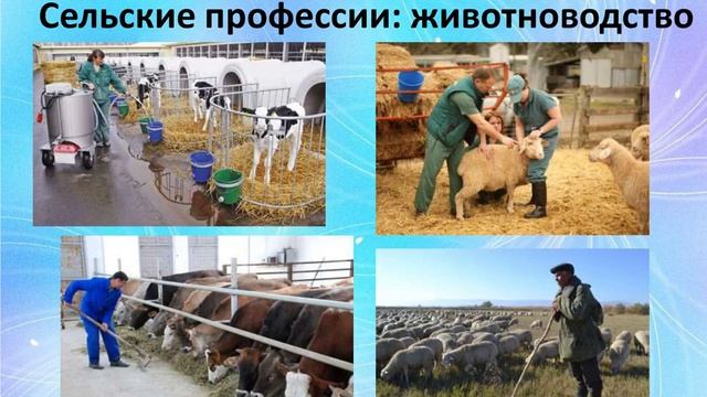 Виртуальная выставка «Профессии труда» смотреть онлайн