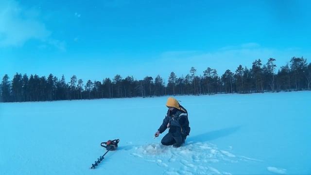 Поездка на ламбину 2016 смотреть онлайн