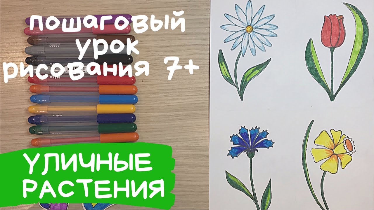 Разные цветы рисунок карандашом. Рисунки цветов для срисовки. Уличные растения. Клумба с цветами смотреть онлайн