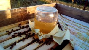 Простейшая кормушка для пчел своими руками