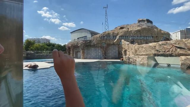 Ангелина в Московском ЗООПАРКЕ! Angelina in the Moscow Zoo! смотреть онлайн