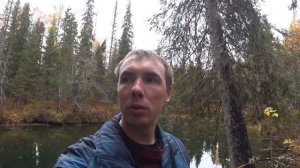 Хариус на спиннинг / Ловля хариуса осенью/