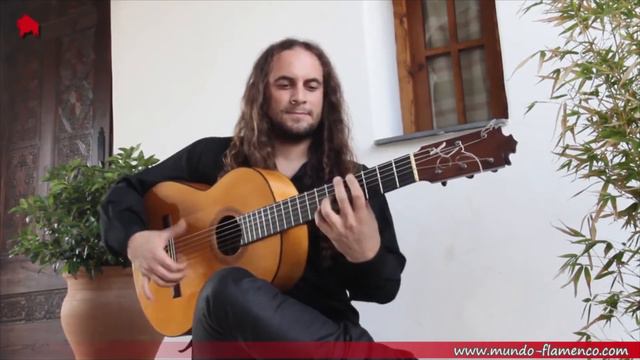 Francisco Barba 1970 flamenco guitar played by Amir John Haddad смотреть онлайн