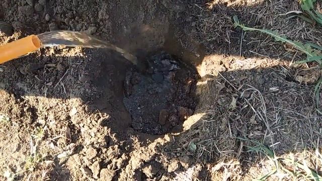 ОСЕННИЕ ПОСАДКИ: МАЛИНА В СИБИРИ//НАШ СЕЛЬСКИЙ УГОЛОК... смотреть онлайн