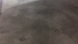 Schmitz с осями Saf замена подшипников. Проблемный ремонт. Ошибка токарей!