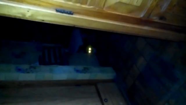 Буйный сосед смотреть онлайн