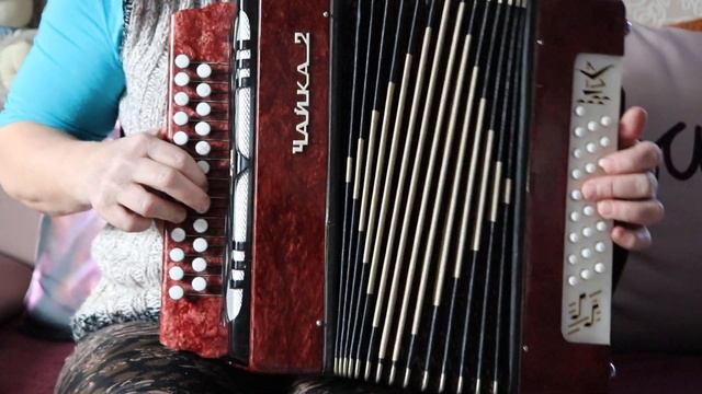 Гармонь «Чайка-2» 25х25-ll, двуголосная. Тональность – ля-мажор. смотреть онлайн