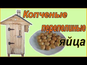 Яйца копченые перепелиные  Закуска к пиву