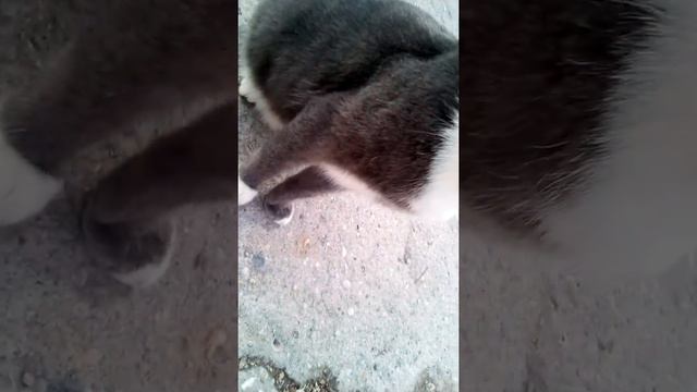 Красивые пейзажи моря смотреть онлайн