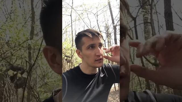 Что делать утром? 3 необходимых действия для достижения успеха смотреть онлайн