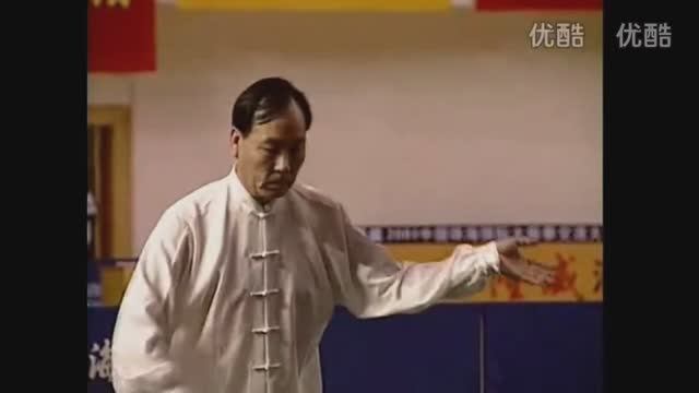 Chen Taijiquan. Master Zhang Zhijun.