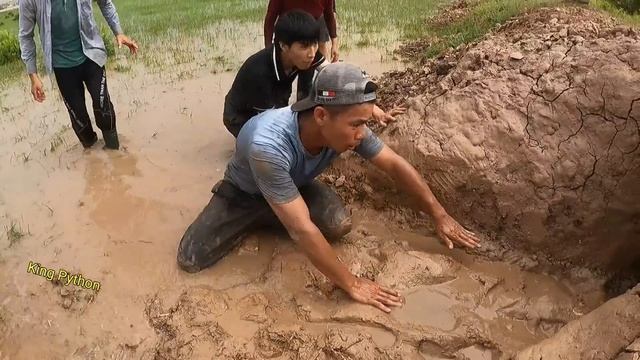 KING PYTHON22 | Catch Monster смотреть онлайн