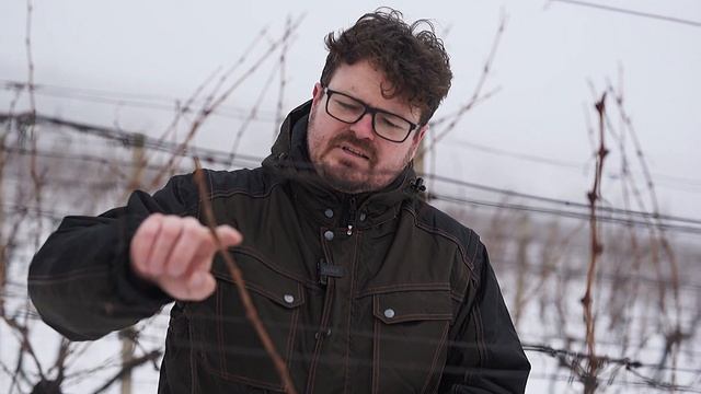 Z MALOKARPATSKEJ PÔDY - Viazanie viniča смотреть онлайн