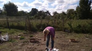 Как забить утку//Как поймать утку