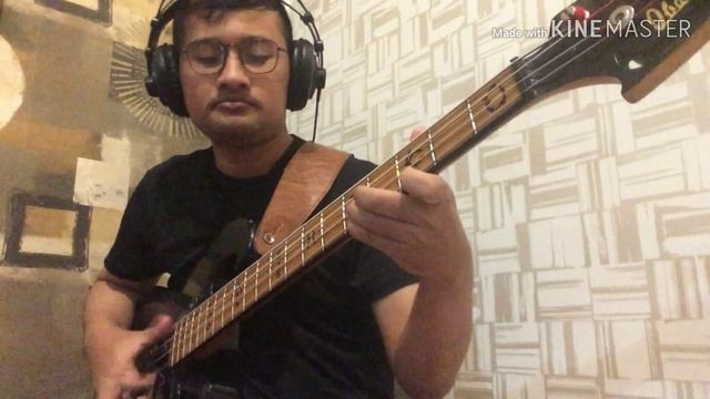 RHCP - Dark Necessities (Bass Cover) смотреть онлайн