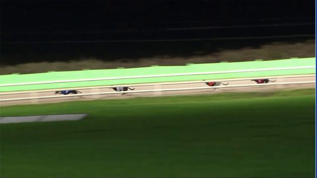 2020 RPGTV STANDARD FINAL - T2 LITTLE EMIR смотреть онлайн