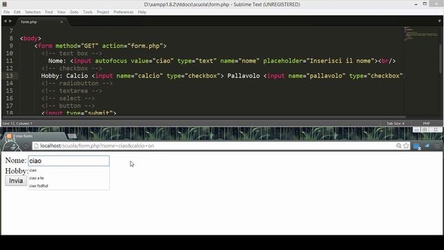Form e Checkbox in HTML смотреть онлайн