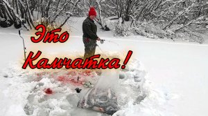 Рыба озверела! Подледный лов на Камчатке.