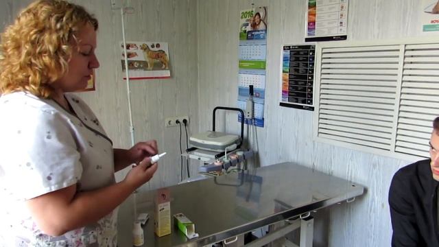 Болезни ушей, Хаски на приеме. Советы ветеринара смотреть онлайн