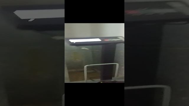 20230823_Конина с кишками по 450 рублей на цен смотреть онлайн
