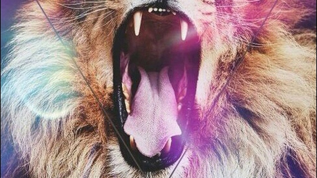 DeeJay Dan - Lion's Heart 3 [2016] смотреть онлайн