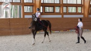 Занятие верховой ездой. Начальный уровень. Тренер Оксана Анатольевна Санникова